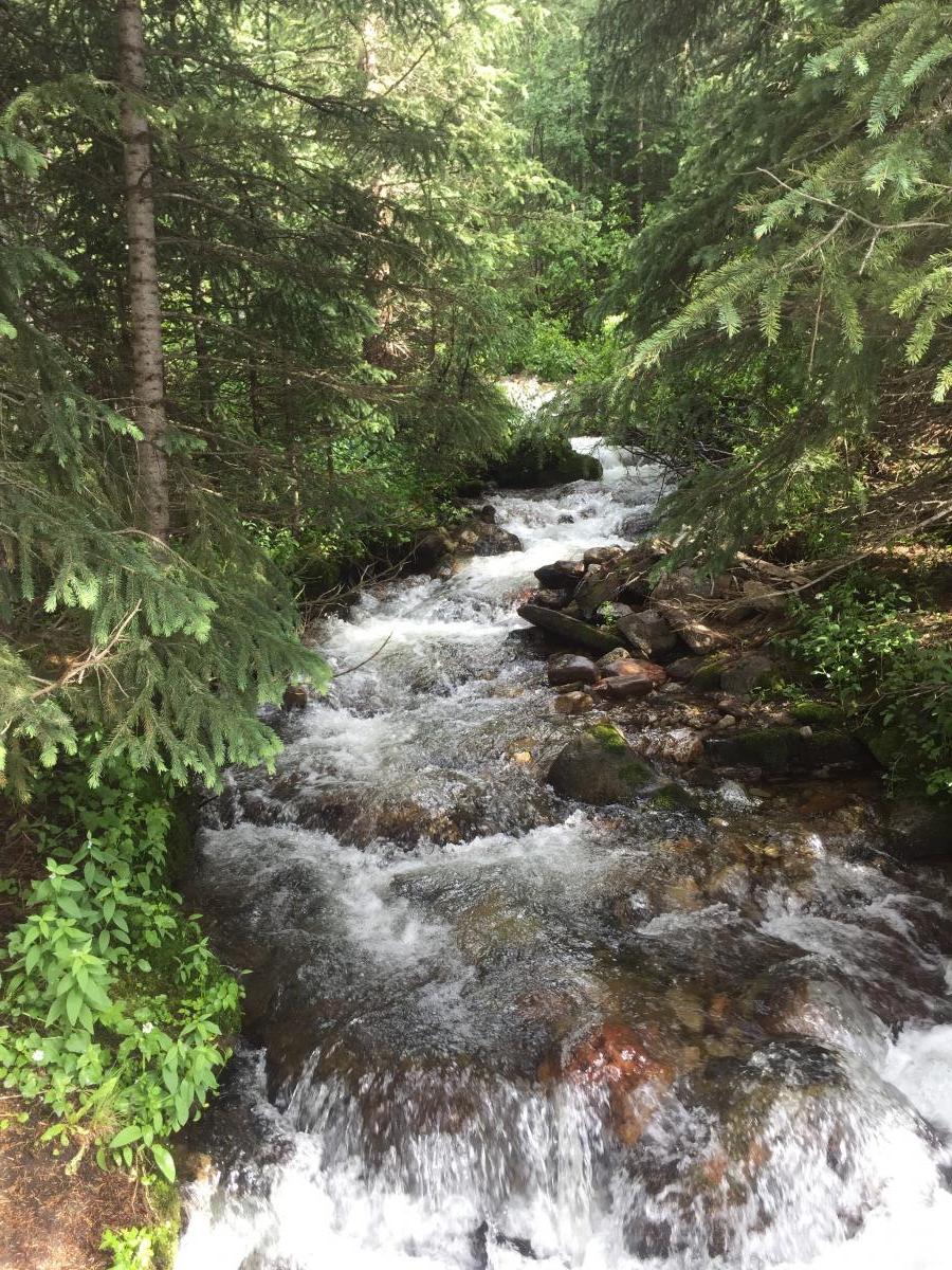 I crossed dozens of rushing mountain streams and creeks like this one. These were also my water sources on the trail. I carried a small kit to filter drinking water. 