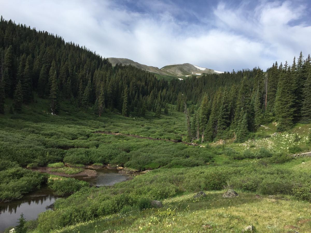 This shot is looking back down the elongated meadow where I camped on the first night. From here I started the climb up to Searle Pass. 