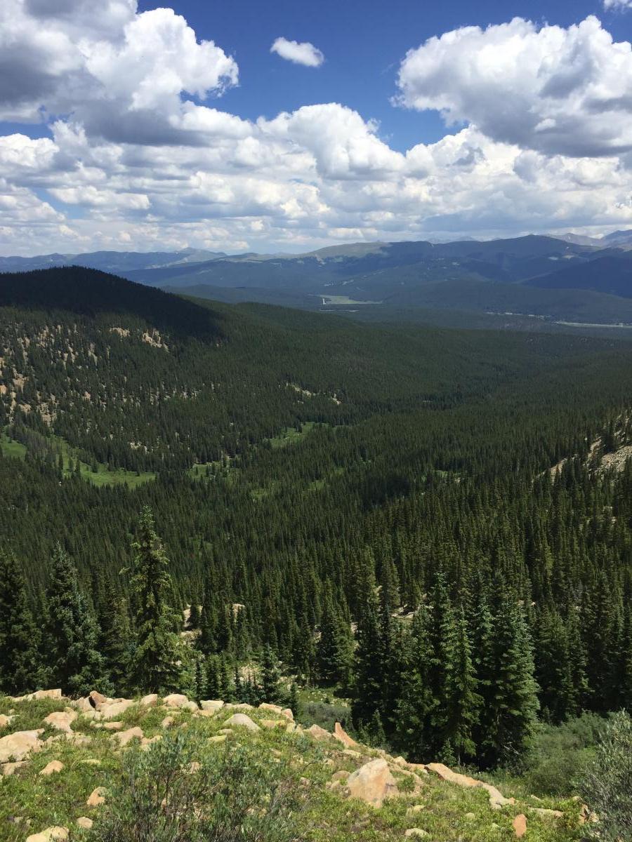 A picture can't begin to capture the grandeur of the view from this spot near Porcupine Lakes in Segment 9. 