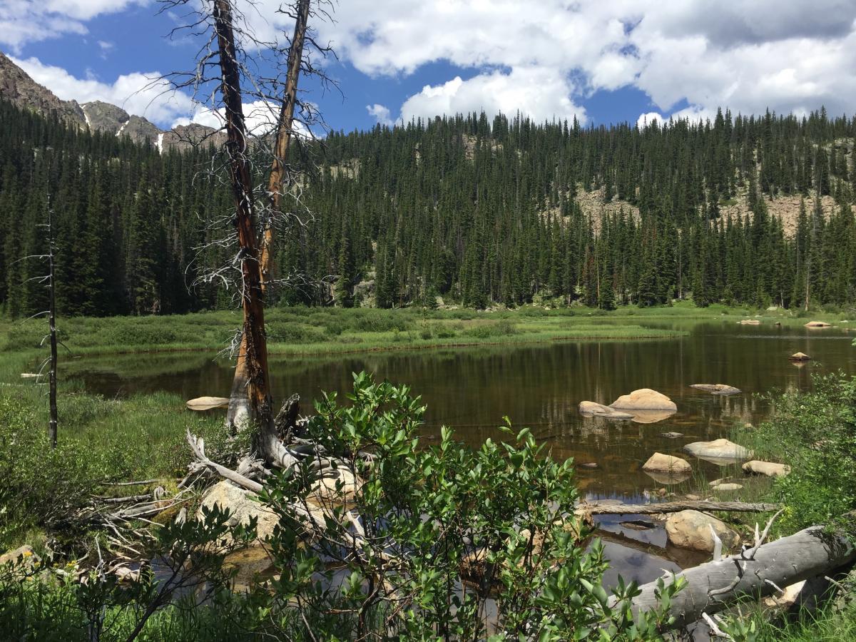 Porcupine Lakes (elevation 11,450 feet). Amazingly clear water. I could see fish swimming in the middle of the lake. 