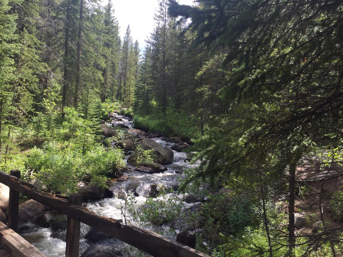 Some creeks were bridged (like this one), other more seasonal streams of snow melt were not. 